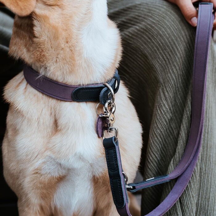 Нашийник для собак HUNTER LEMVIG, шкіряний, фіолетовий/темно-синій, розмір 45, Made in Germany