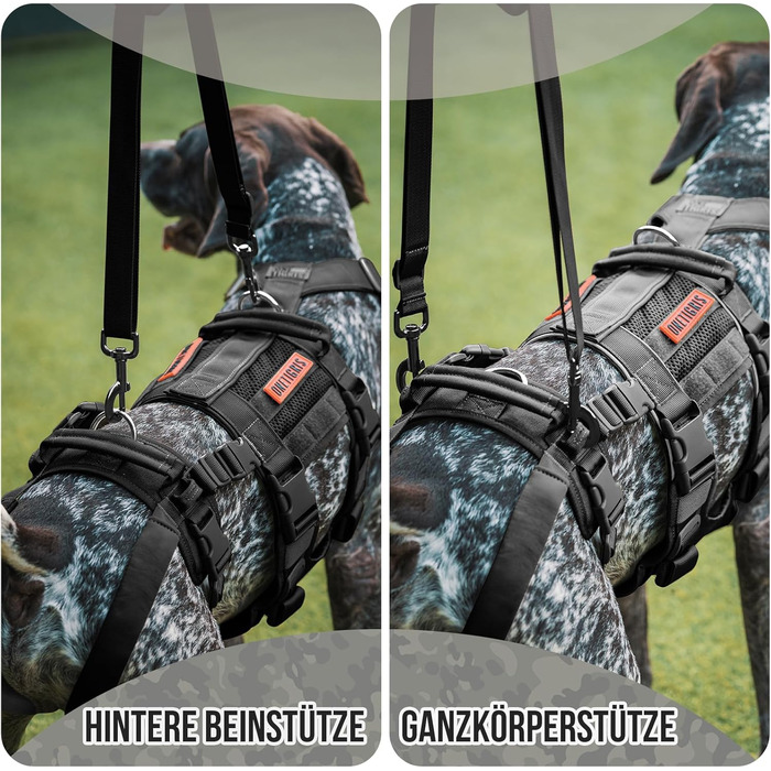 Шлейка для собак OneTigris SKYEWALKER, чорна, XL (39-64 кг) з регулюванням, для підтримки та реабілітації