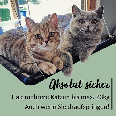 Ліжко-вікно для котів Riijk до 23 кг, чорне (M), 49 x 40 см