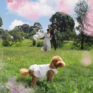 Нашийник для собак Croci Ceremony з дзвіночком для обручок, H-Gechirr з кільцем, регульований, розмір 38-54 см, білий