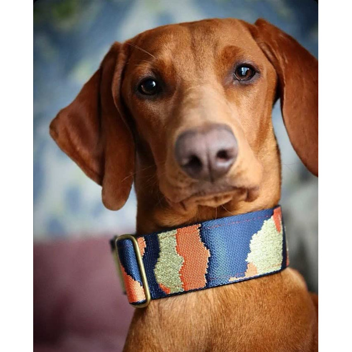 Нашийник для собак Martingale з м'якою підкладкою, 5 см, тренувальний, регульований (до 52 см обхват шиї, 58 см обхват голови), стопор 6 см, сталеві деталі