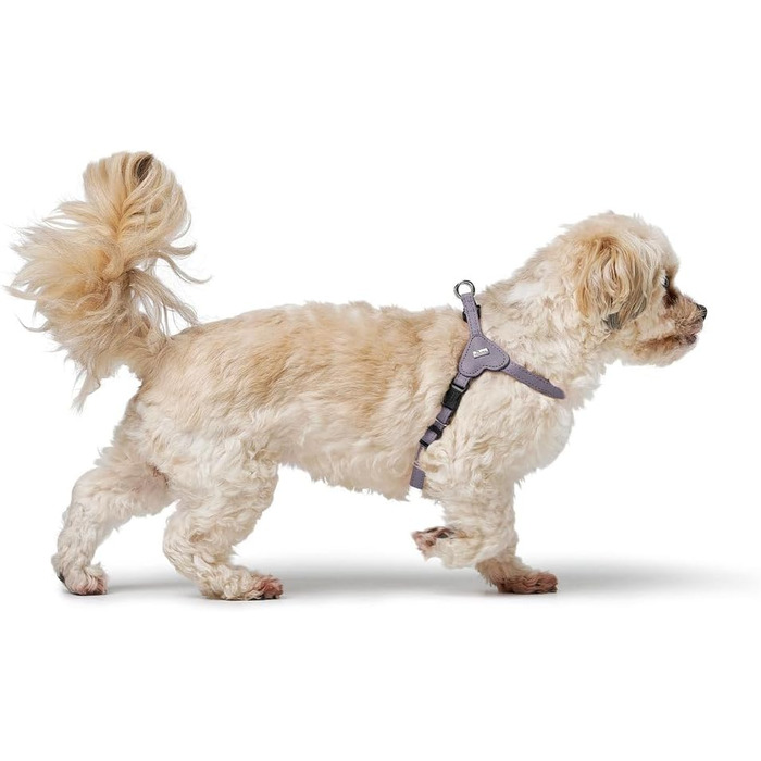 Нашийник для собак HUNTER SOHO MINI, чорний, з натуральної шкіри, м'який, не травмує шерсть, легкий, для маленьких собак та цуценят, Made in Germany, розмір XS