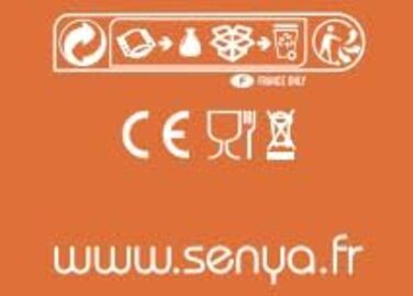 Пароочисник EASYOU Simple Move SYIR-I016G, 2400W, бездротовий