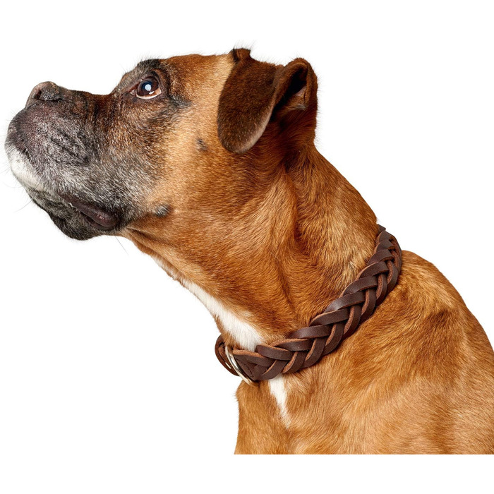 Нашийник для собак Hunter Solid Education, шкіряний, ручної роботи, темно-коричневий, розмір S-M