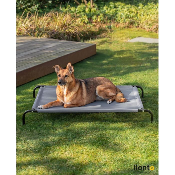Лежанка для собак Lionto Outdoor, піднята, стабільна, сіра, 114x76x15 см. Зручна та стійка, з дихаючим покриттям та металевим каркасом. Захист від холоду підлоги.