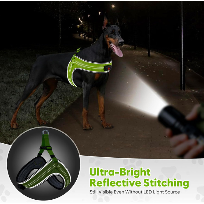 Світловідбиваючий поводок для собак середнього розміру BiPawTi, перезаряджуваний світловідбиваючий жилет для собак з 3 режимами освітлення - світлодіодна шлейка для собак, що світиться в темряві, для кемпінгу з собакою - зелене світло