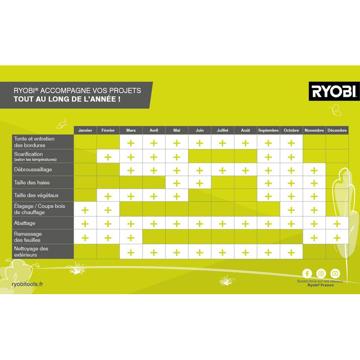Електричний садовий пилосос-видувка RYOBI RBV3000CSV 3000 Вт