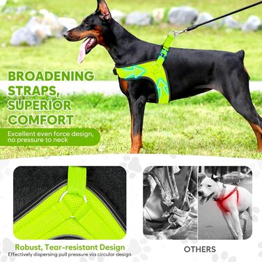 Світловідбиваючий поводок для собак середнього розміру BiPawTi, перезаряджуваний світловідбиваючий жилет для собак з 3 режимами освітлення - світлодіодна шлейка для собак, що світиться в темряві, для кемпінгу з собакою - зелене світло