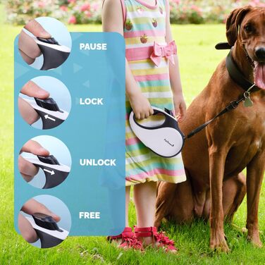 Рулетка для собак FurDreams – міцна висувна повідка 5 м | Зручна ручка з блокуванням | Міцний нейлоновий трос, що не заплутується | Кріплення для нашийника (велике) | Білий, великий