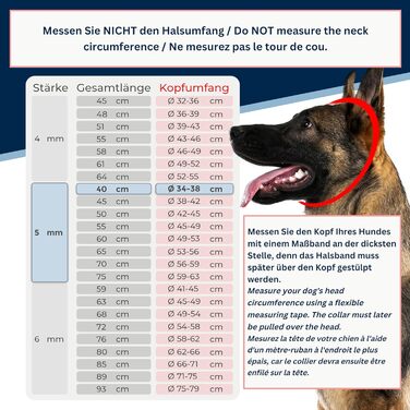 Нашийник для собак з обхватом голови 49-53 см, нержавіюча сталь V4A, ланцюговий нашийник з запобіжником, довгі ланки 5 мм, загальна довжина 64 см