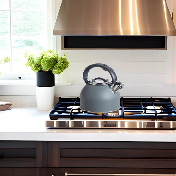 Чайник OGGI для плити, 1.9 л, нержавіюча сталь, з гучною свистком, ідеальний для приготування гарячої води