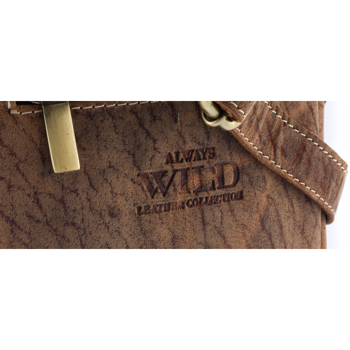 Сумка-бананка Always Wild на плече 250-MH-1794 TAN коричнева