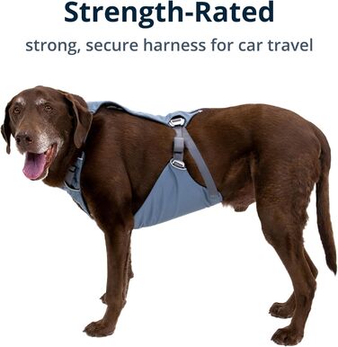 RUFFWEAR Load Up – жилет-шлейка для собак, Schieferblau (блакитний), XXS