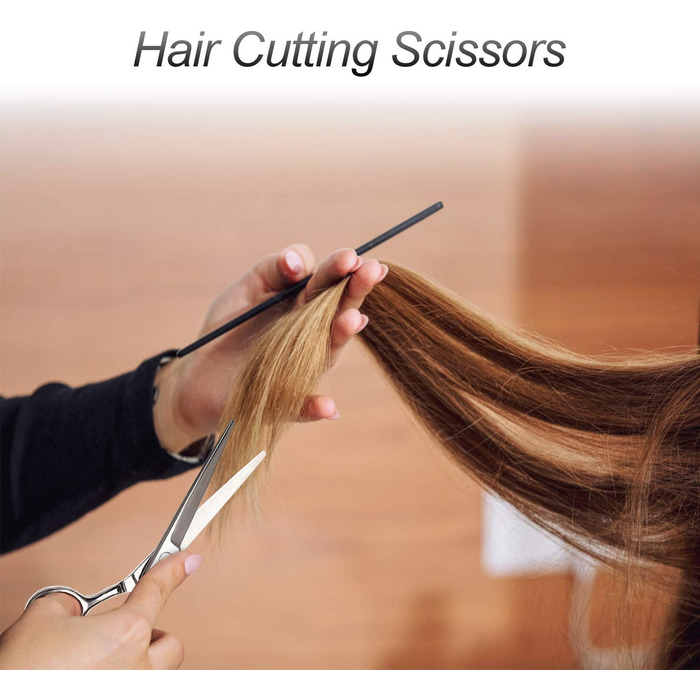 Професійний набір фенів CIICII: фен для волосся та фен для бороди (6,7 дюйми) для чоловіків, жінок та домашнього використання. Чорний та срібний