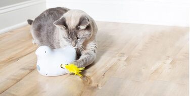 PetSafe Cat Toy, Interactive Engagement Toy with Timer, 3 AA Batteries Required (Peek-a-Bird)