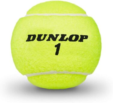 Тенісні м'ячі Dunlop ATP Championship, 12 шт. у банці