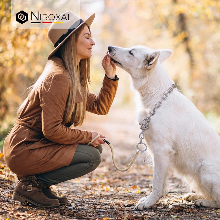 Нашийник для собак з обхватом шиї 49-53 см, нержавіюча сталь V4A, з запобіжником, ланцюговий, 5 мм, довжина 64 см