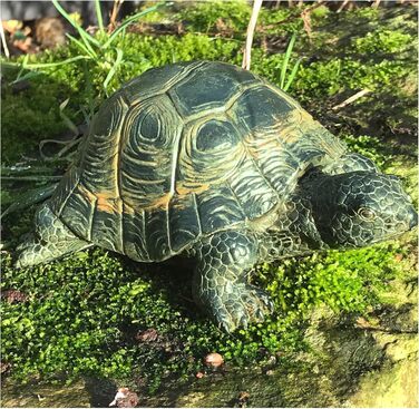 Tier-Knallbonbons, realistic turtle, weather-resistant, resin, decoration for pond lovers
