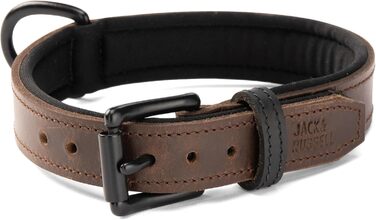 Нашийник для собак Джек Рассел з натуральної шкіри та неопрену – м'який та міцний нашийник для маленьких та великих собак – преміум нашийник Craig (L) L (42.0-51.0 см)
