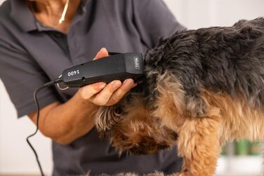 Машинка для стрижки собак Wahl 1400, комплект для догляду, чорна