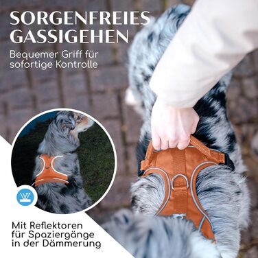 FREUDENTIER Dog Harness with Mesh Padding - Maximum Comfort, Bombproof Fit & Maximum Safety - Anti-Pull Front Ring - Chest Harness for Large, Medium and Small Dogs (Orange, XS)