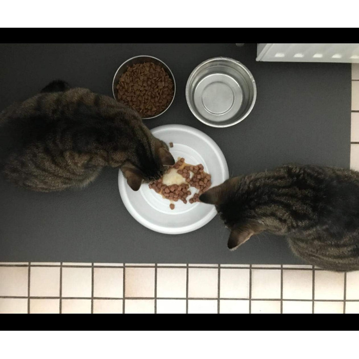 Підкладка під миску SanoZoo для котів (40x60 см, фіолетова) – екологічна, Made in Germany