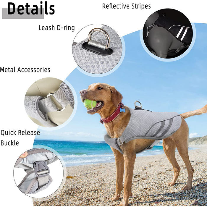 DearDD Cooling Vest for Dogs Summer Cooling Jacket for Dogs, Adjustable Breathable Mesh Dog Vest with Harness D-Ring Warning Vest Dog Coat for Small, Medium, Large Dogs, XL XL (Chest 78-99cm)