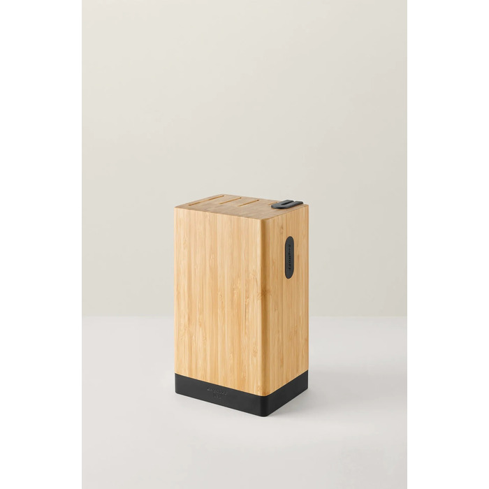 Набір кухонних сталевих ножів BergHOFF (4 шт.) у дерев'яному блоці, Graphite