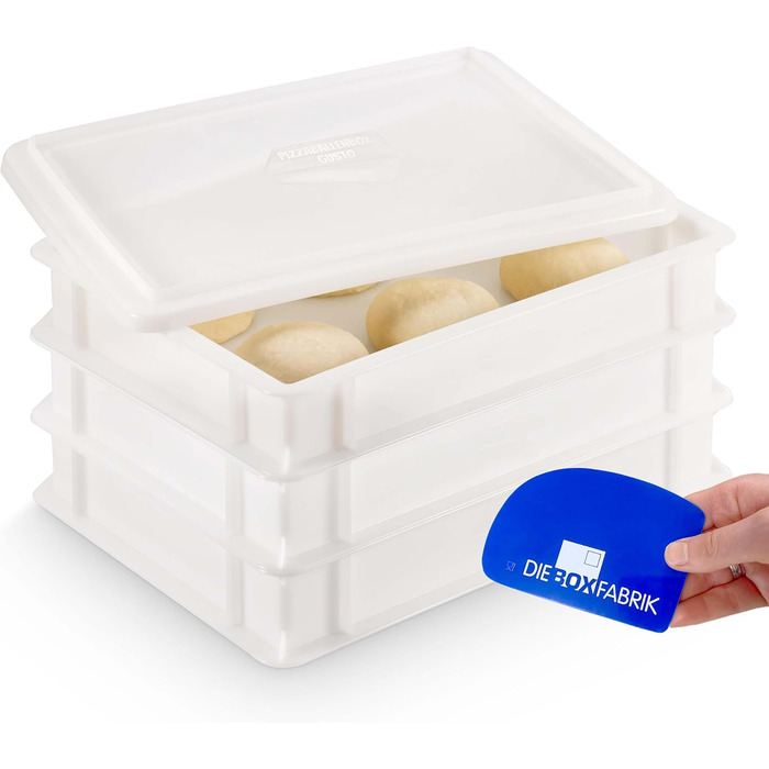 3x Pizza Ball Box, Flavor + 1 Lid, 40x30x7 cm | Proofing Box, Dough Container for Pizza Dough. Dough Box for 6 Pizza Balls, Pizza Dough Container (3x Gusto Box + 1x Lid)