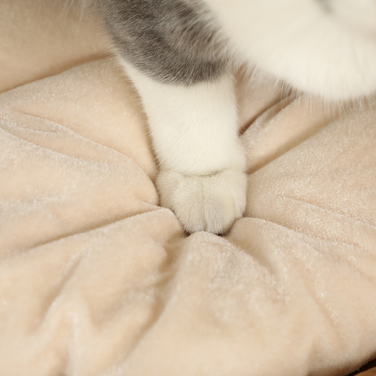 PawHut Драбина для котів, 50 см у висоту, драбина для котів з 2 печерами, кігтеточка з подушкою, кігтеточний комплекс з рогозу, для котів до 3,5 кг, Світло-коричневий | Aosom