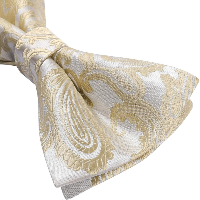 HISDERN Комплект краватки, кишенькового хустинки та краваткових затискачів для чоловіків, Пазлі, для весілля, свят, Різдва, Хелловіну, A1-Бежевий