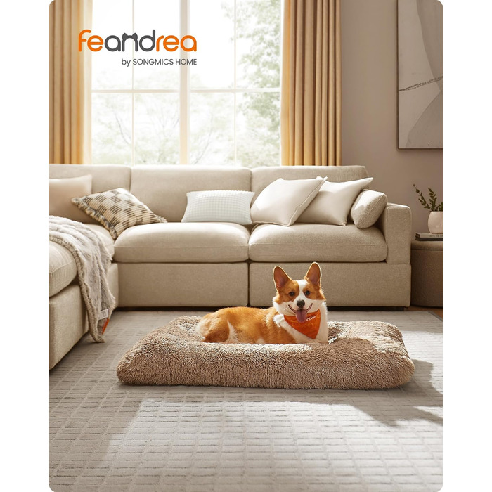 Ліжко для собак Feandrea з м'яким лежаком, 65x45 см, Ombré Grey, машинне прання, багатофункціональне, PGW200G01