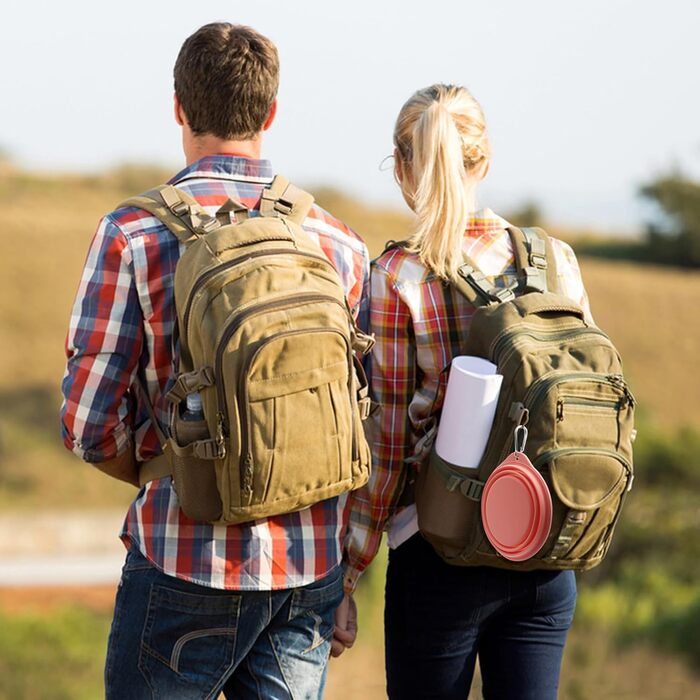 SLSON 2 миски для собак та котів, інтегровані, складні, без краю, з пластику, 600 мл (сірий + рожевий)