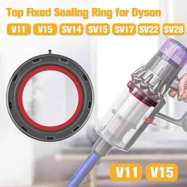 Dyson V10/V11/V15 Dust Bin Replacement Part - Compatible with SV12, SV13, SV14, SV15, SV17, SV22, SV27, SV28 - Includes Sealing Ring, Part Number 969509-01