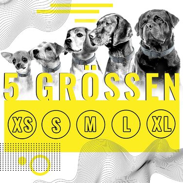 Набір повідка та нашийника ne&no® (веганська шкіра) для собак, 1.2м, блакитний/антрацит, регульований, з карабіном