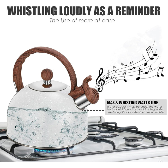 Чайник заварний 2.5L з нержавіючої сталі для всіх плит (індукція), сучасний з дерев'яною ручкою сірого кольору