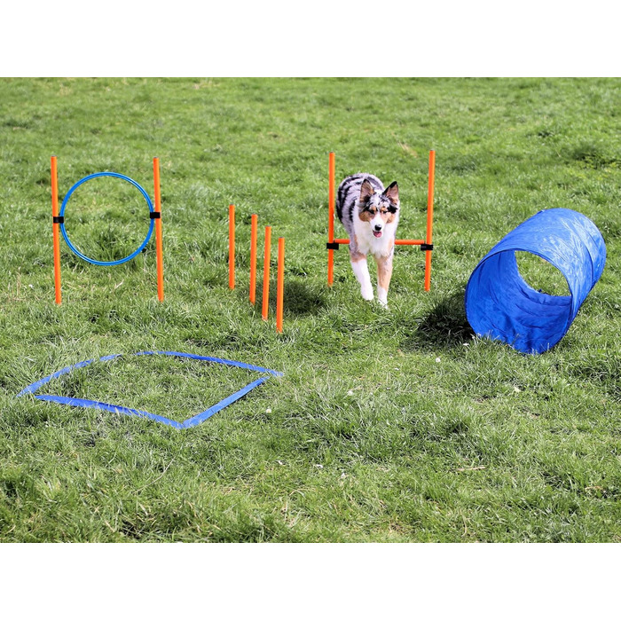 Набір для дресирування собак Agility: тунель, обруч, бар'єри, слалом, стійки