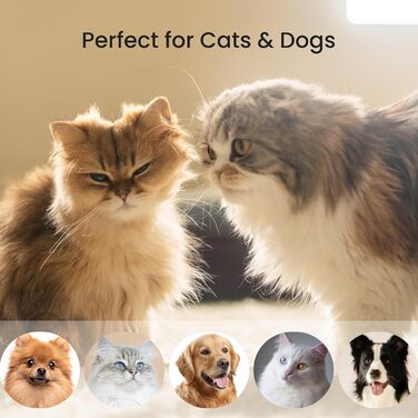 PawRake – щітка для котів та собак на вигляд копалки, для видалення підшерстка, для середньої та довгої шерсті, для комфортного догляду за шерстю