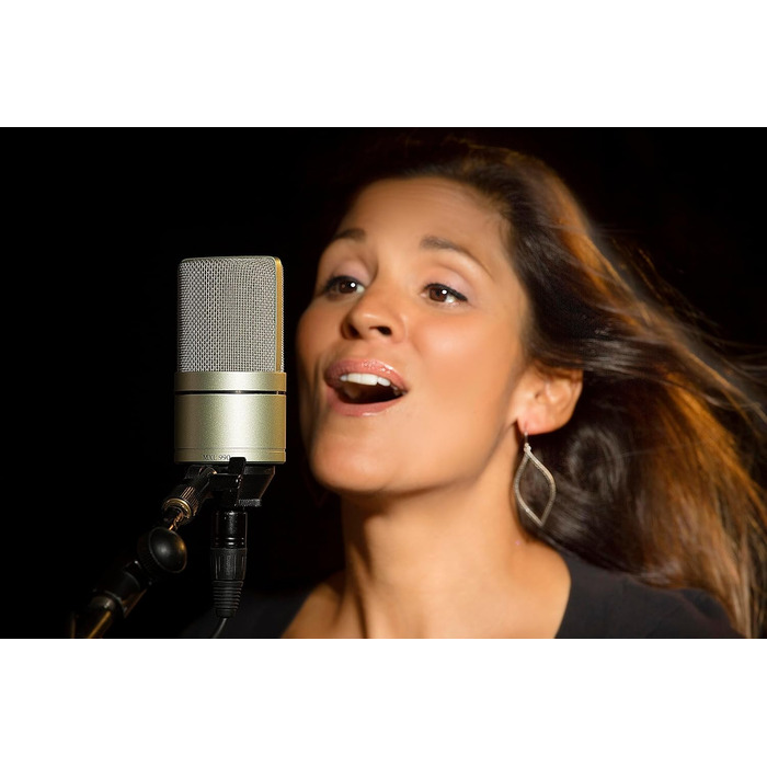 Kondensatormikrofon MXL 990 Silver – професійний мікрофон для запису звуку