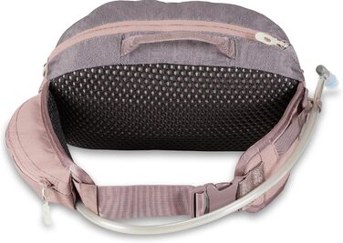 Сумка поясна Dakine Rot 5L з резервуаром для води 2L та магнітною фіксацією (Sparrow)