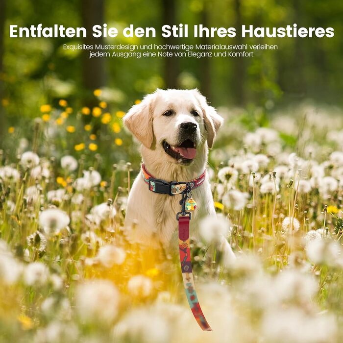 Набір повідка та нашийника для собак, регульований, для щоденних прогулянок, червоний, XS (22-30 см, повідка 1.5 м)