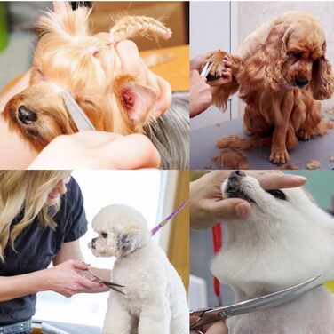 Набір ножиць для собак 5 в 1, нержавіюча сталь, для грумінгу, догляд за шерстю, набір для собак та котів