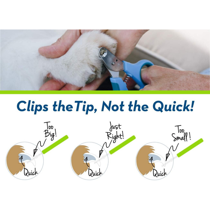 Кліпер для обрізання кігтів домашніх тварин Zen Clipper – безпечний та ефективний інструмент (зелений, 4 мм)