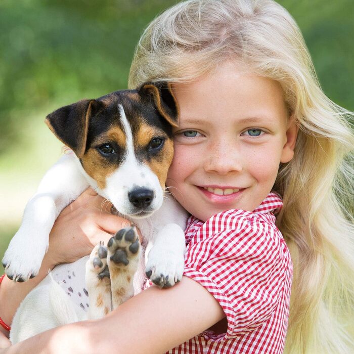 Будка для собак Zooprinz Bella - водовідштовхуюча, з масивного дерева, для вулиці, екологічна фарба, 3 розміри (L, M)