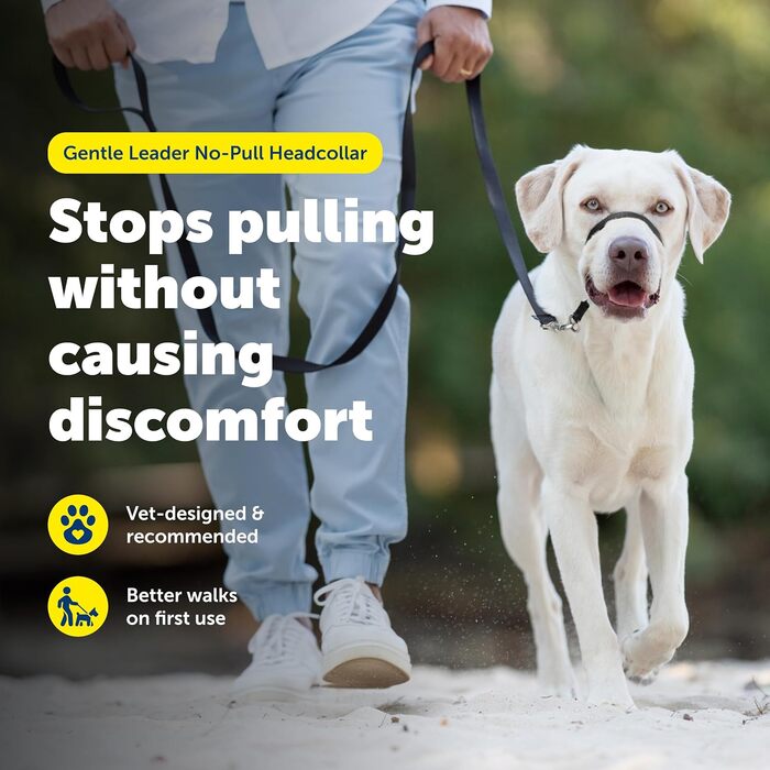 PetSafe Sanfter Führer Halsband з навчальною DVD, чорний, Large