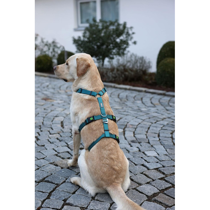 Нашийник-захист для собак Kerbl Pet Panikgeschirr, 38-52 см, 20 мм, для тривожних собак, регульований, Petrol