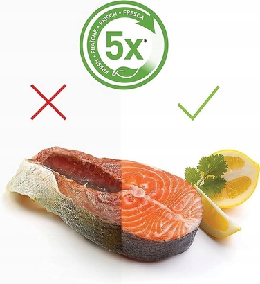 Вакууматор FoodSaver з відсіком для рулону та функцією імпульсного режиму