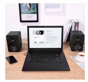 Комплект акустичних колонок 2.0 Sanyun SW208, 50 Вт, чорний