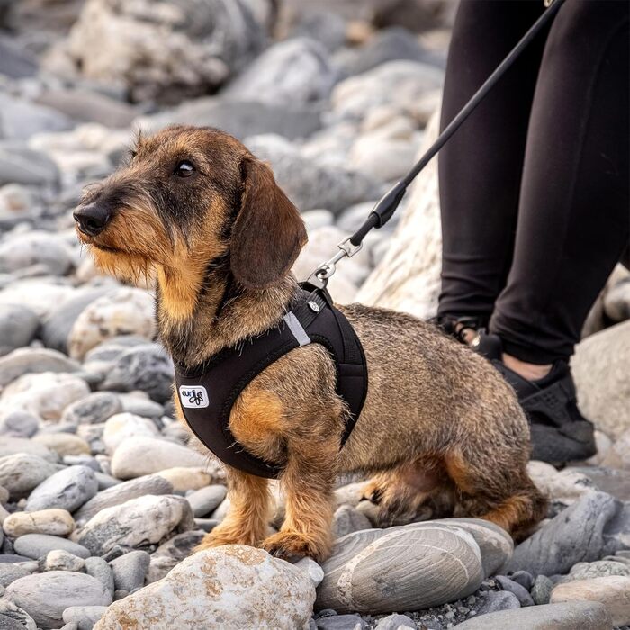 Шлейка для собак Curli Clasp Softshell чорна XS