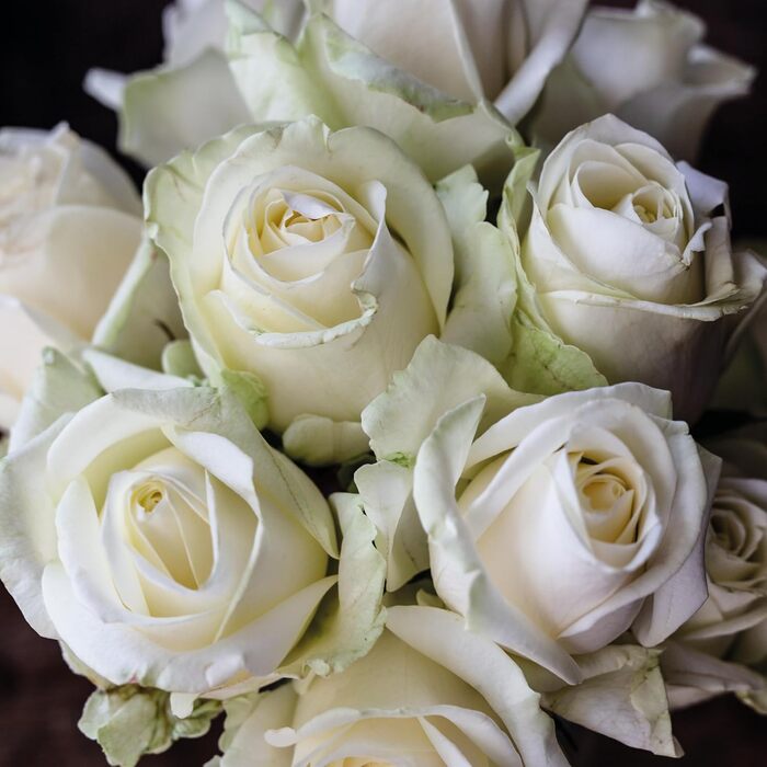 Ваза Nachtmann Quartz з кришталевого скла, 16 см, для квітів, стіл, миття в посудомийній машині